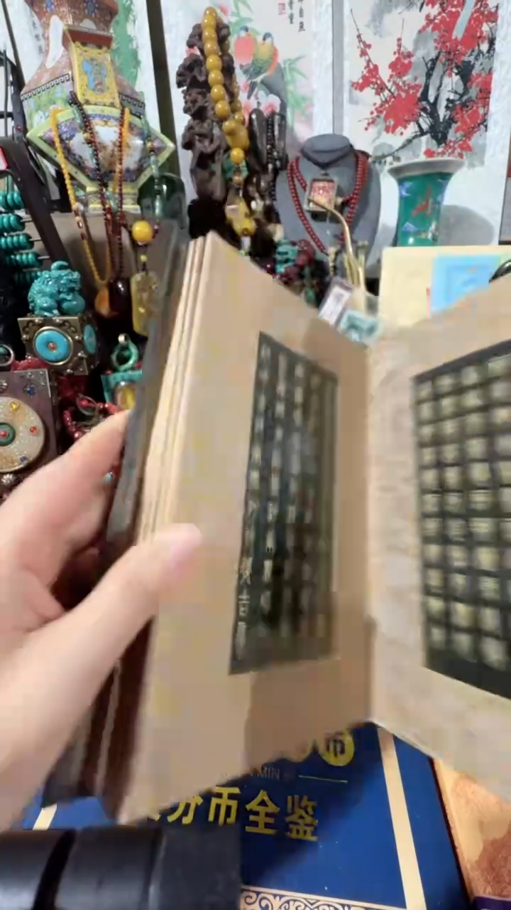 【闪购商品】贝壳摆件撤店清仓好物分享