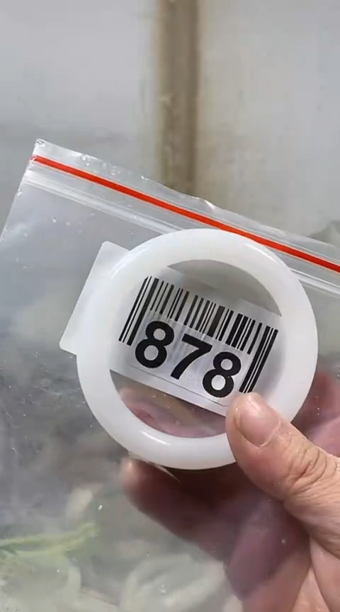 【闪购商品】石英质玉手镯未镶嵌60