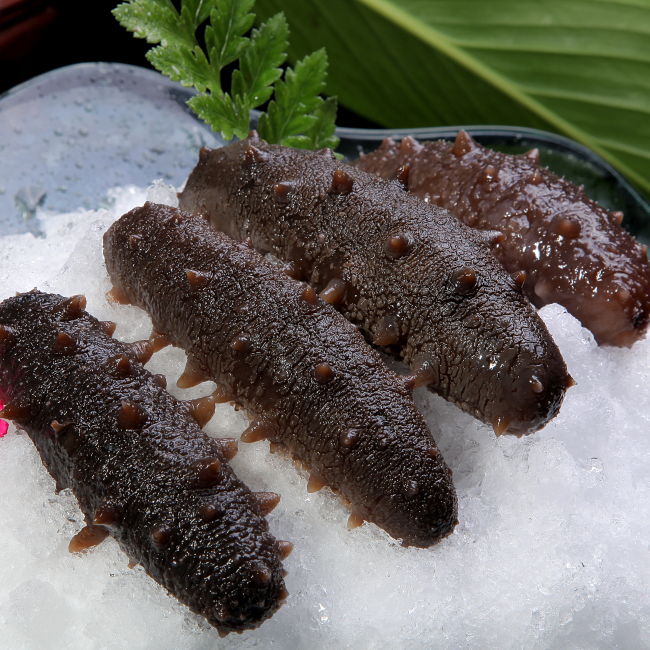 【小林优选】山东即食海参鲜活辽参新鲜刺参