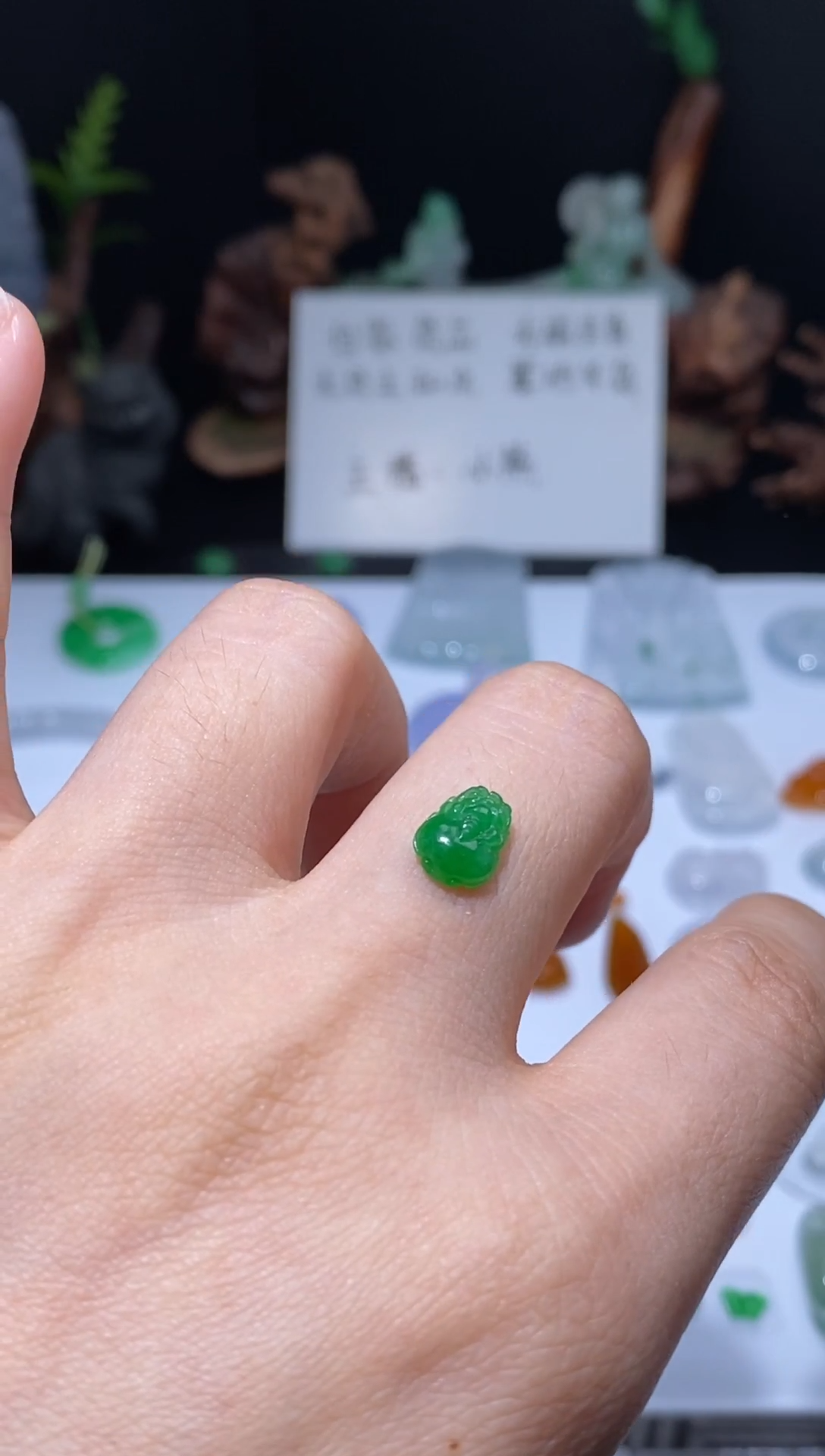 未镶嵌定制翡翠貔貅