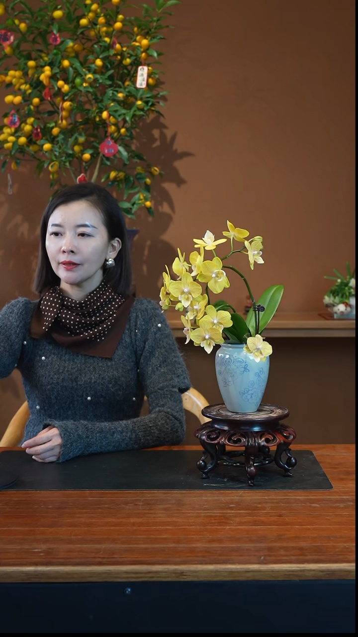 全部花朵金盏蝶盆景盆景盆景