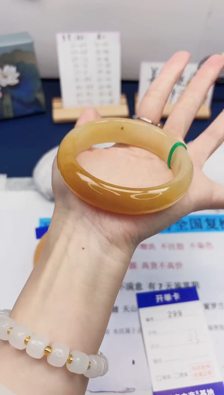 【闪购商品】石英质玉手镯未镶嵌299-财气镯-圈口63