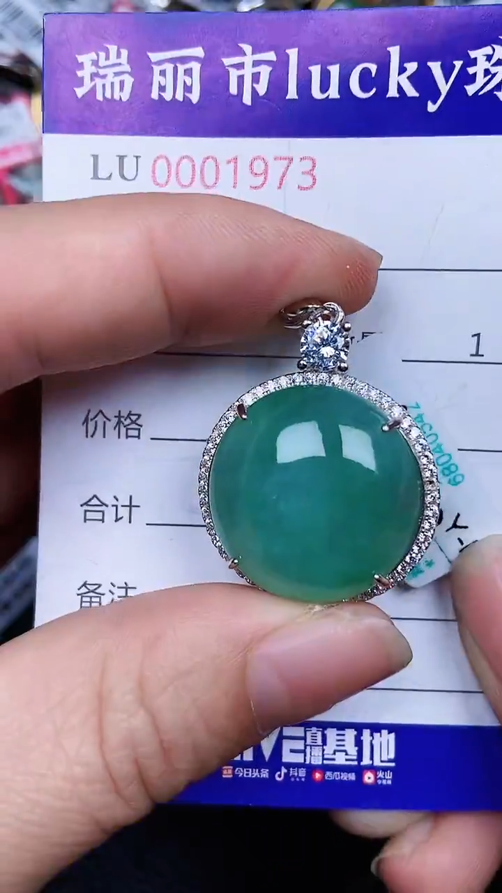 颈饰银S925镶嵌翡翠1973