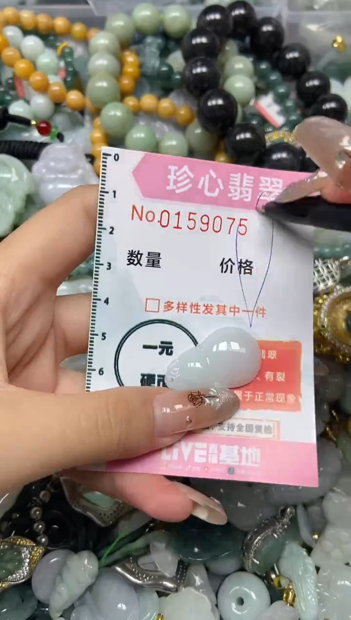 【闪购商品】翡翠颈饰未镶嵌闪购0159075