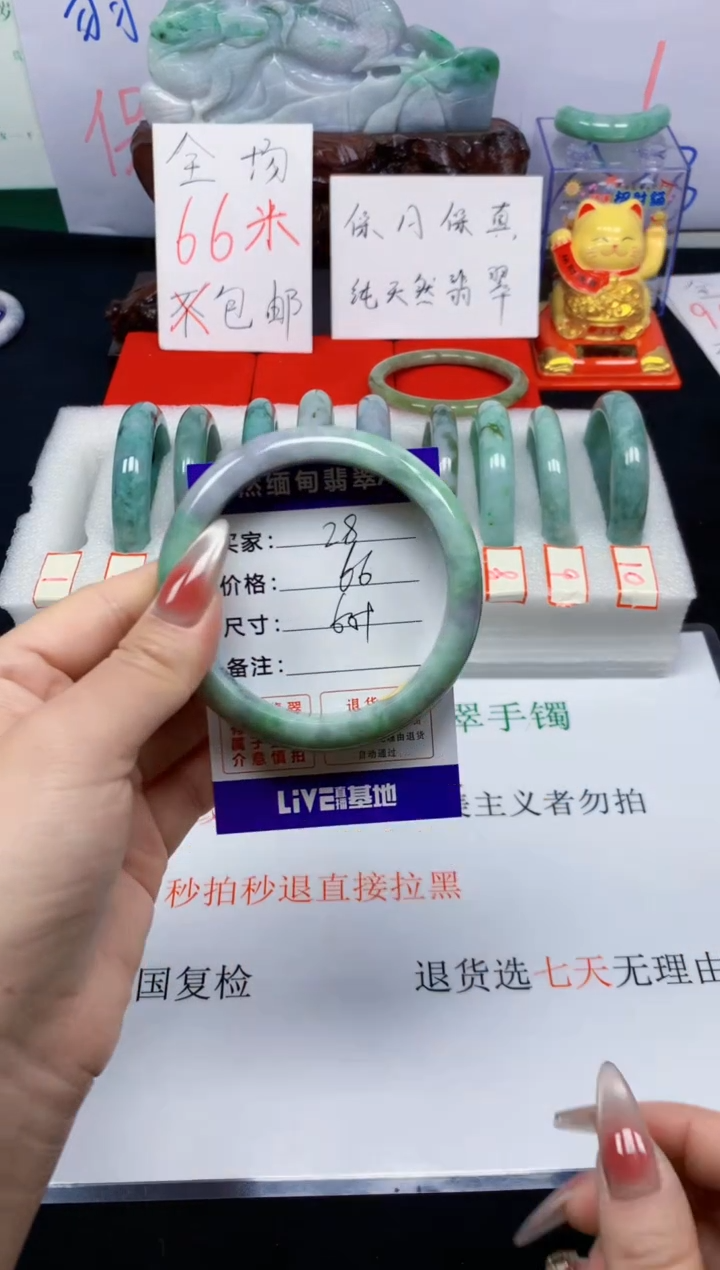 未镶嵌手镯翡翠28