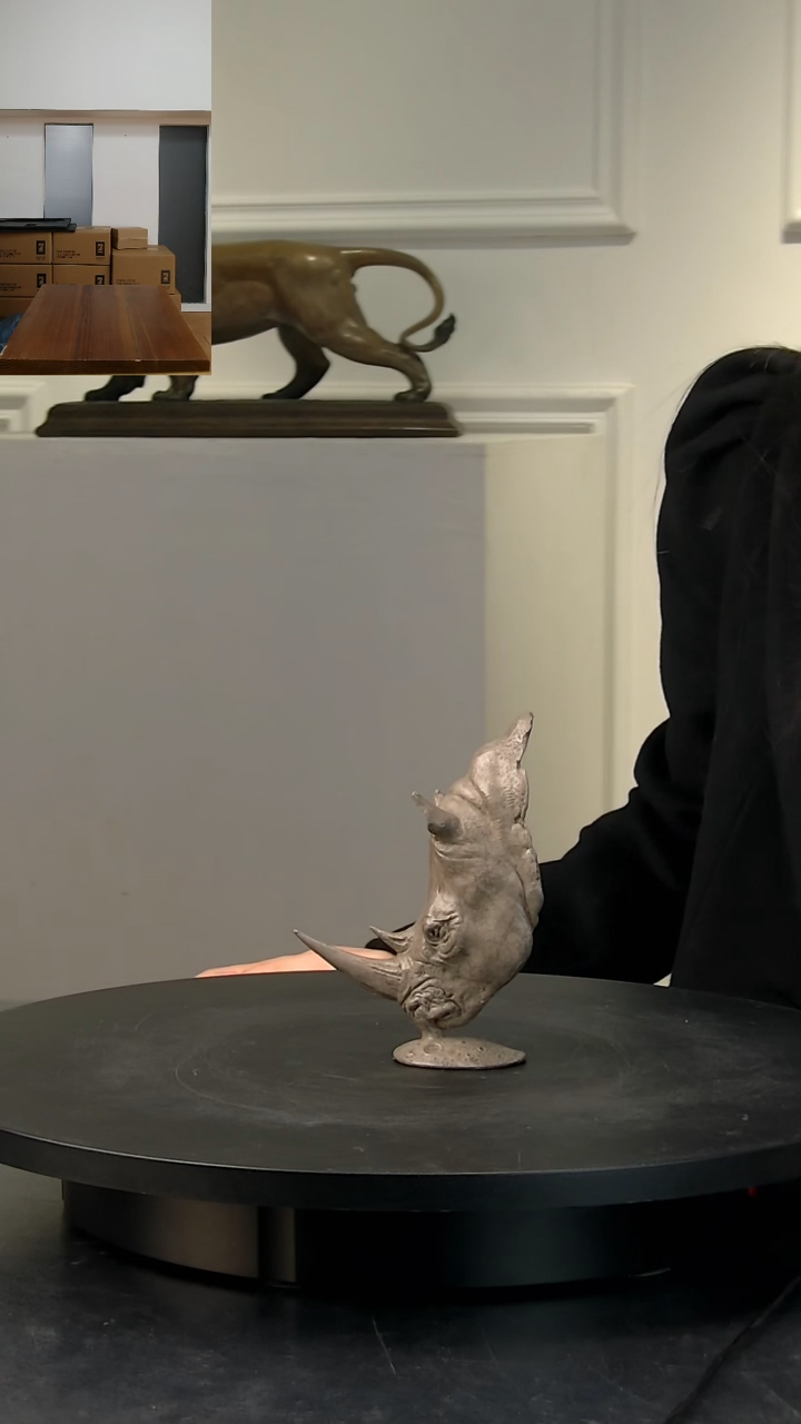 【闪购商品】铜犀变