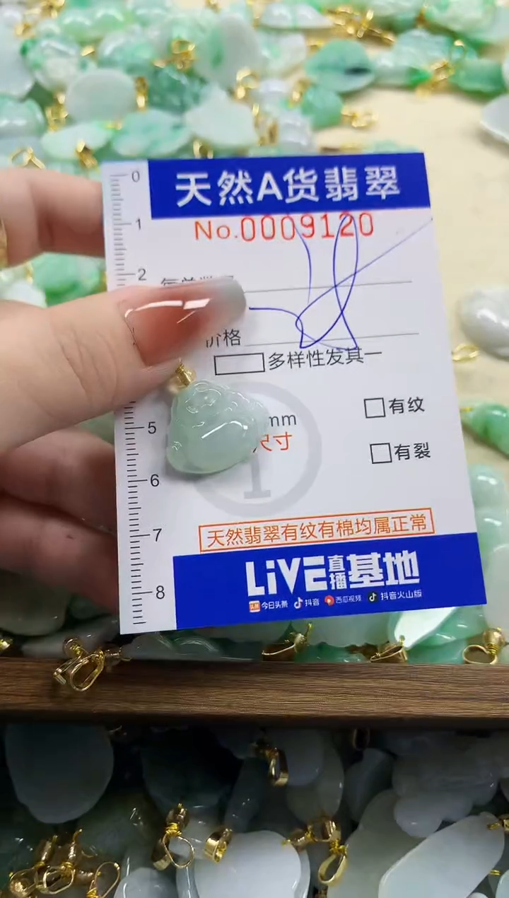 颈饰未镶嵌翡翠天然A货翡翠