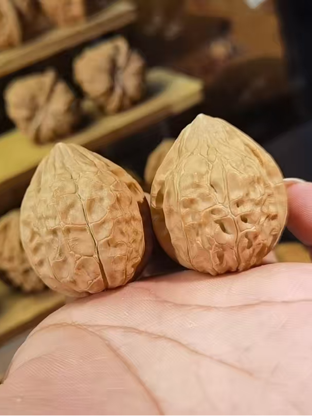 文玩核桃头茬精品龟背纹
