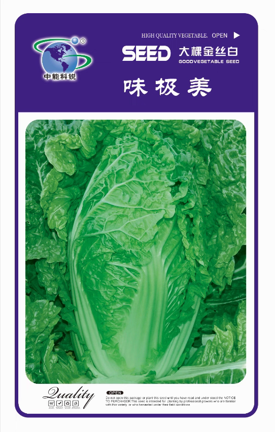 味极美大白菜种子口感型包包菜抗病好产量高昆蔬种业中能科锐