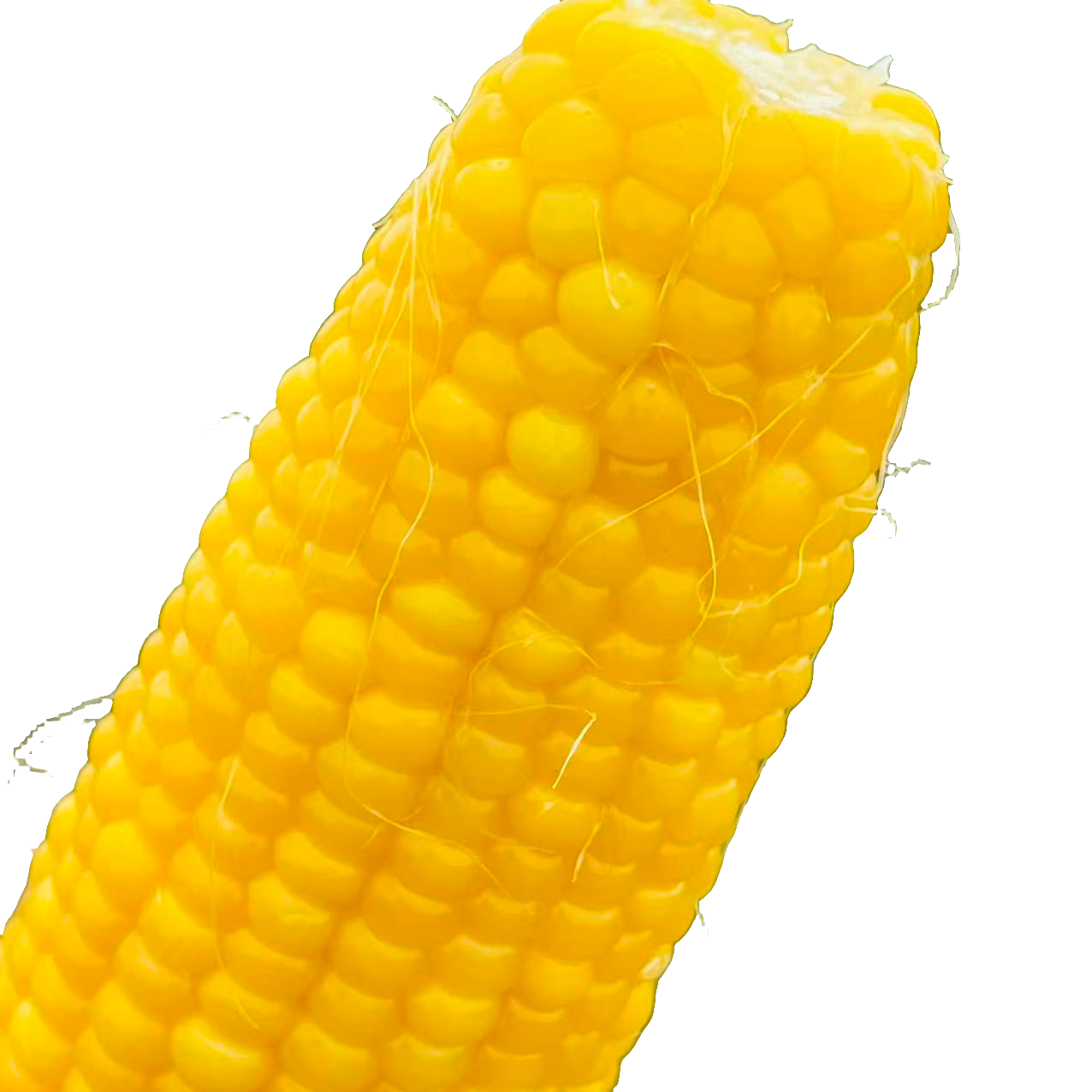 六十黄玉米真空包装香糯玉米乌市周边次日达