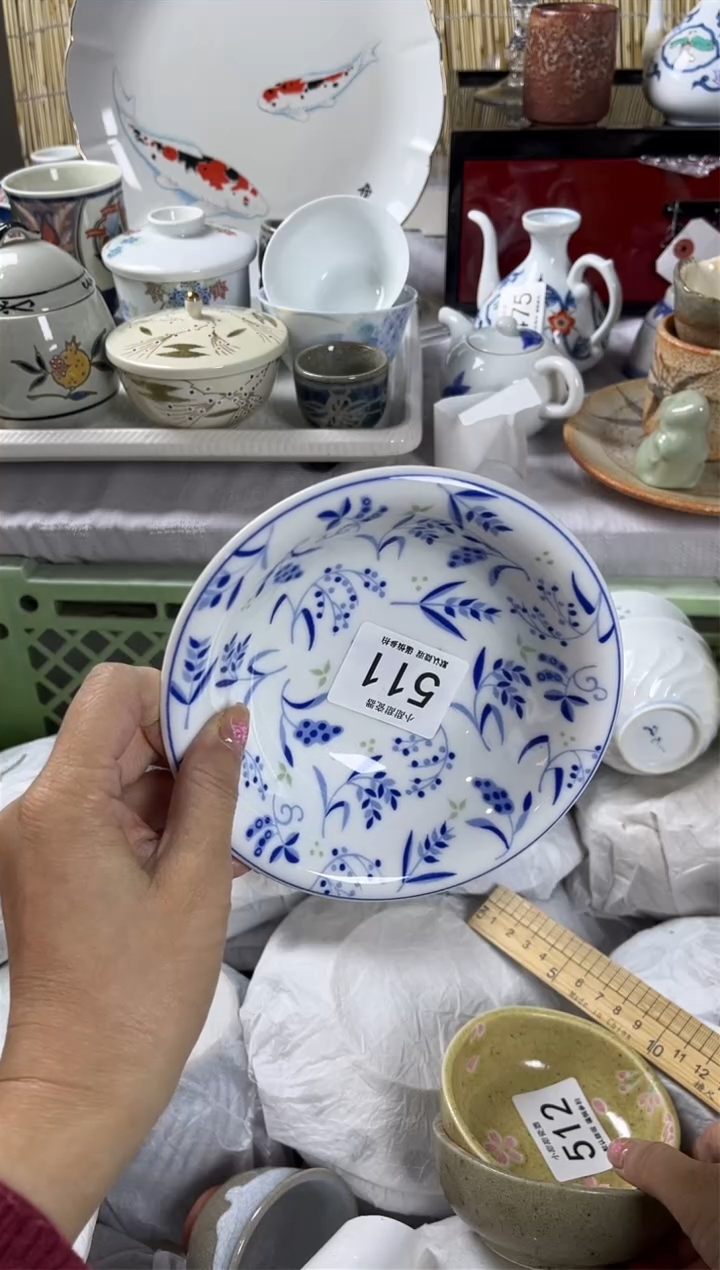 【闪购商品】碟                511