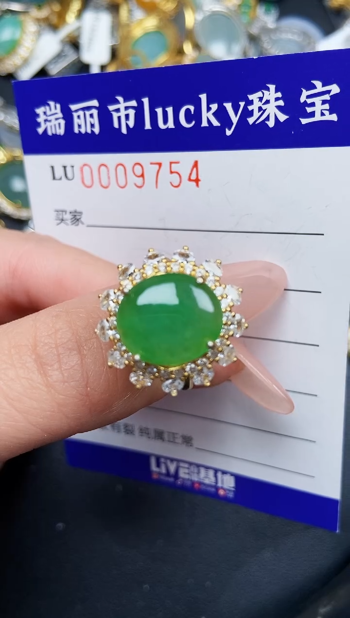 【闪购商品】翡翠颈饰银S925镶嵌9754