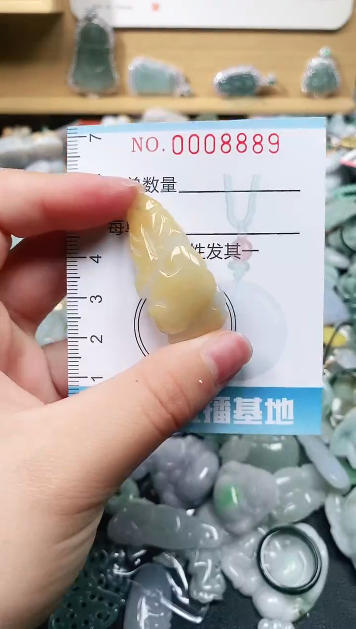 【闪购商品】翡翠颈饰未镶嵌闪购0008889