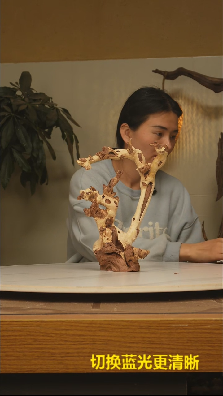 木9****?根雕摆件类857