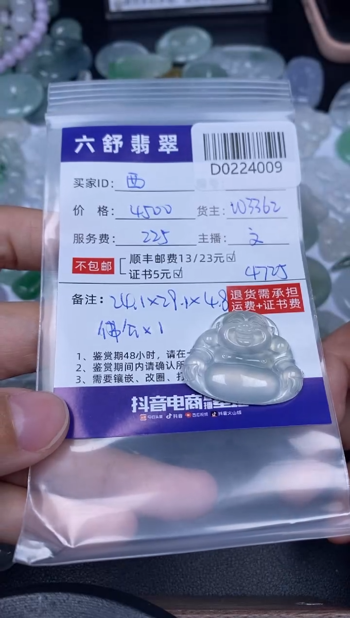 【闪购商品】翡翠吊坠(不含链)未镶嵌D0224009