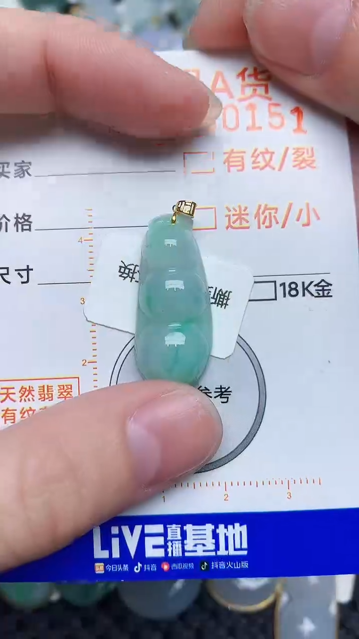 【闪购商品】翡翠颈饰18K金镶嵌453453453