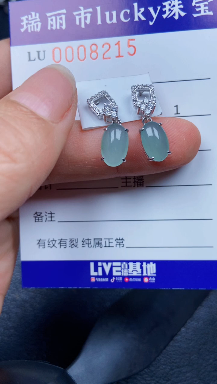 【闪购商品】翡翠颈饰银S925镶嵌8215