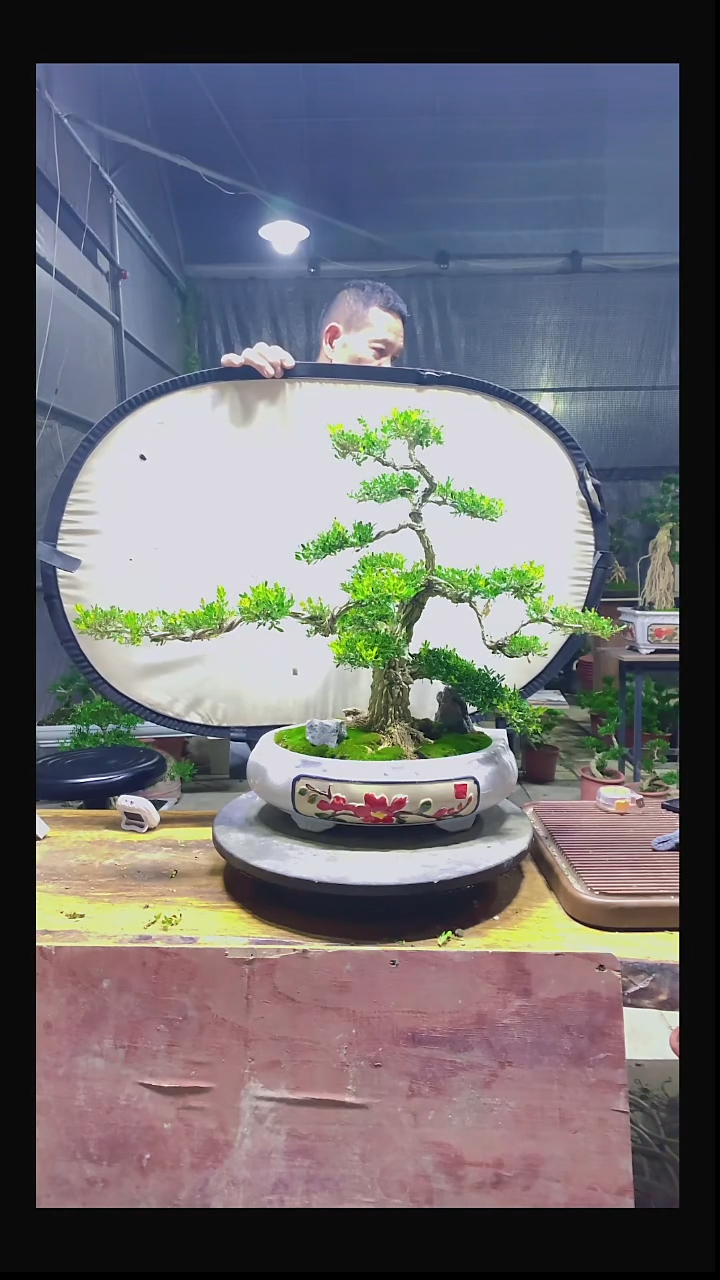 完全开放郑*大111111111111
