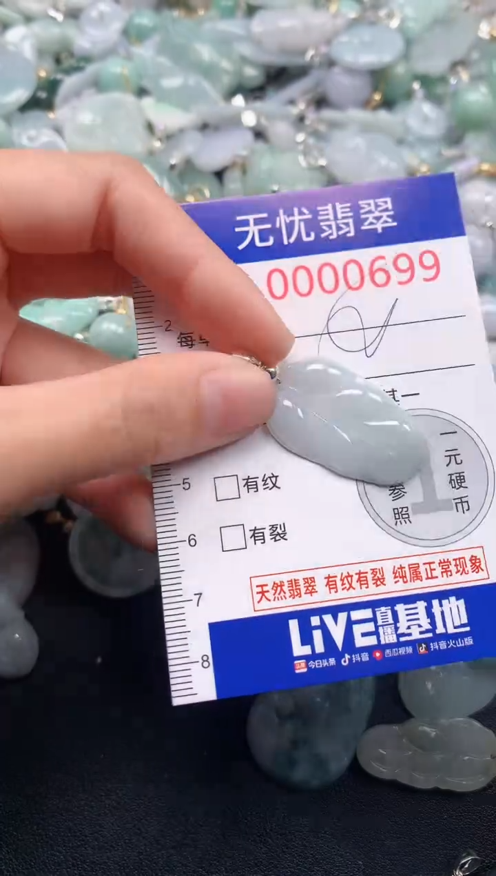 颈饰未镶嵌翡翠699
