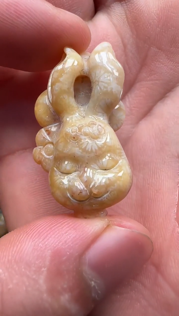 【闪购商品】硅化珊瑚（珊瑚玉）颈饰未镶嵌117