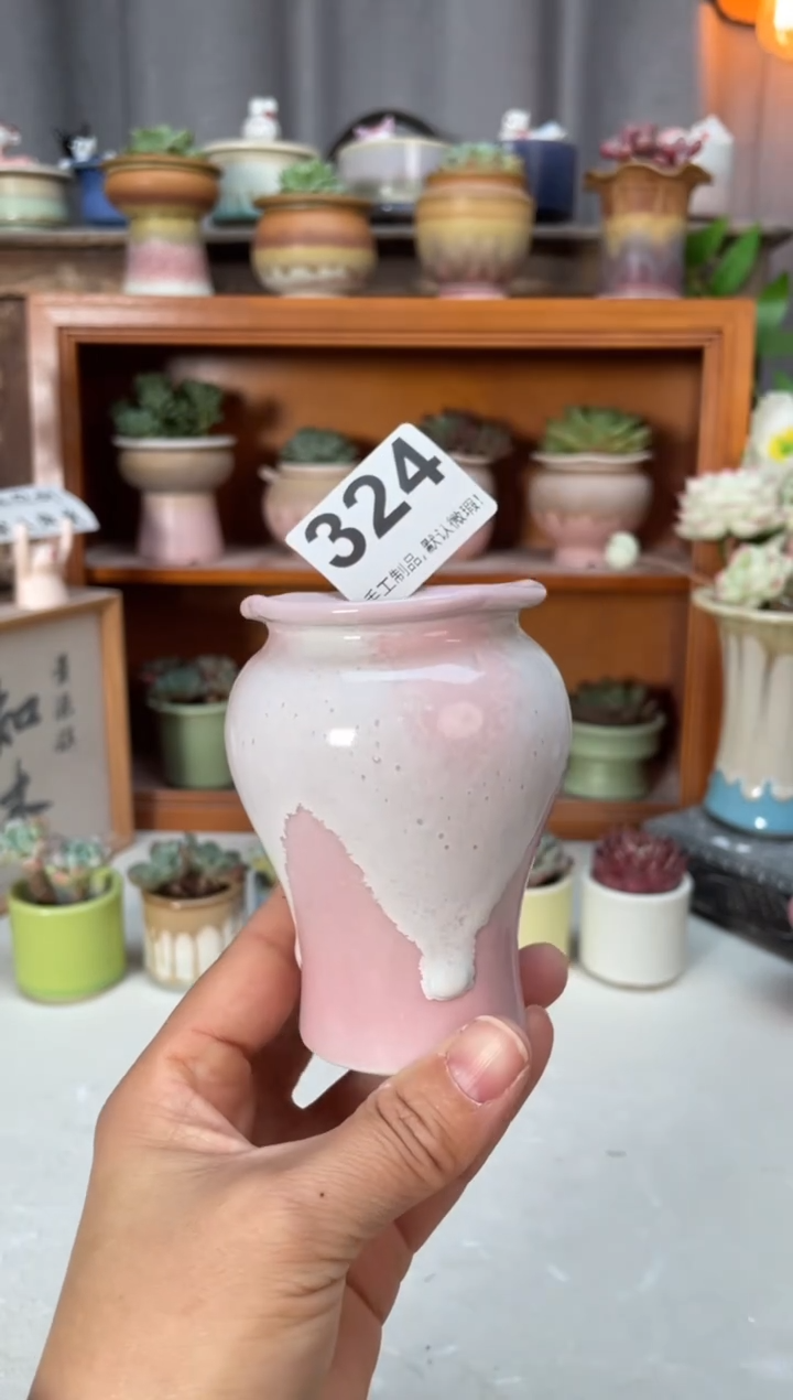 瓷片324小芳直播编号