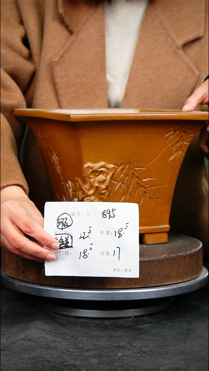 紫砂花盆花卉园艺895瑕