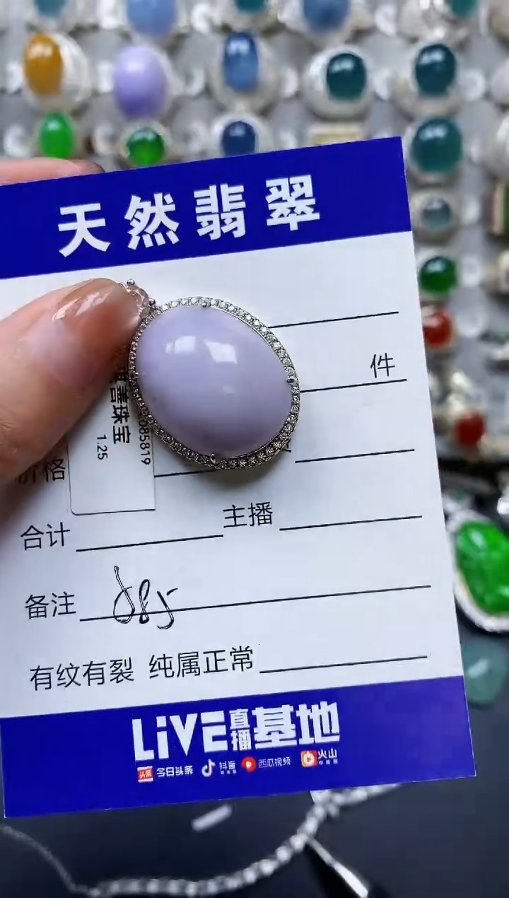 【闪购商品】翡翠颈饰银S925镶嵌0585