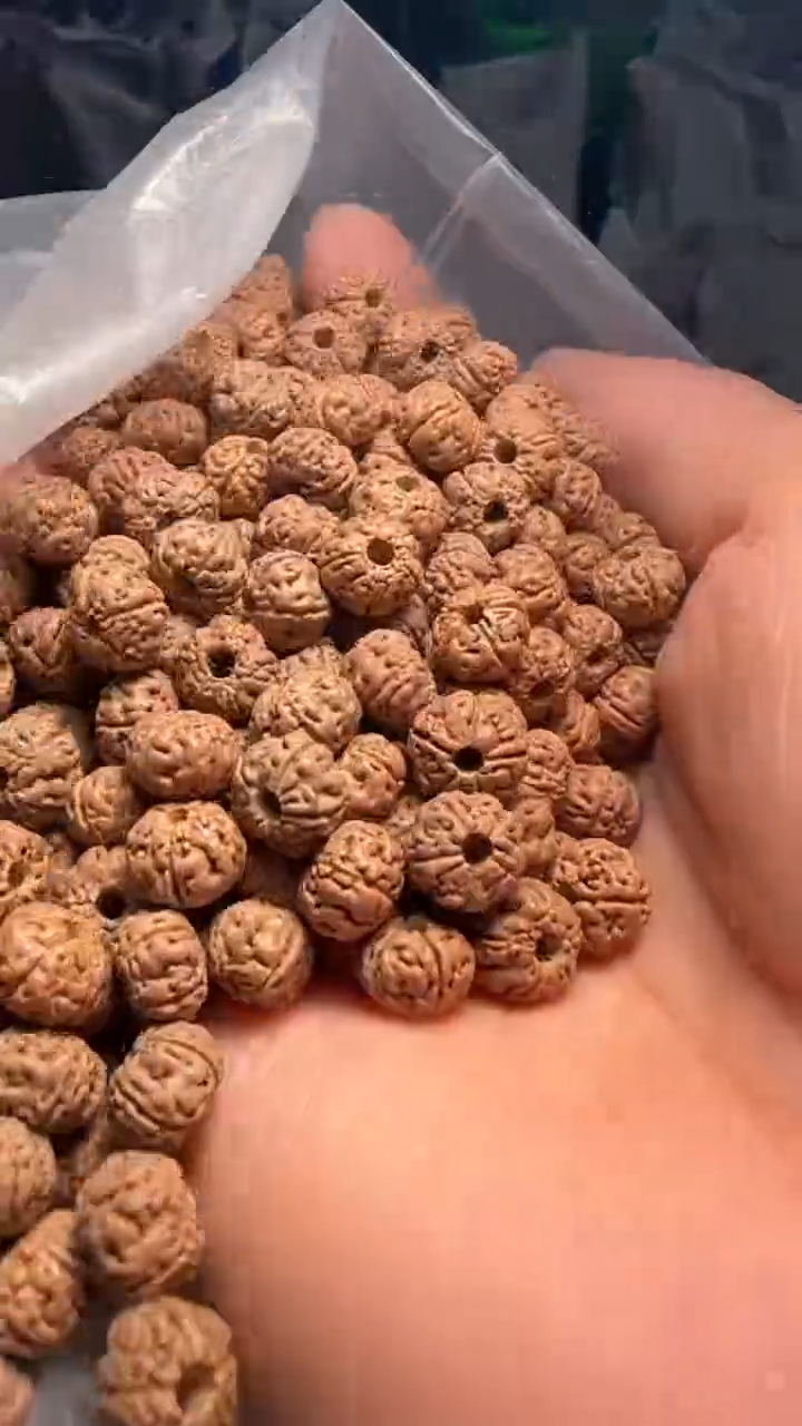 金刚菩提手串非全品老树王散籽7-8mm一份一百颗