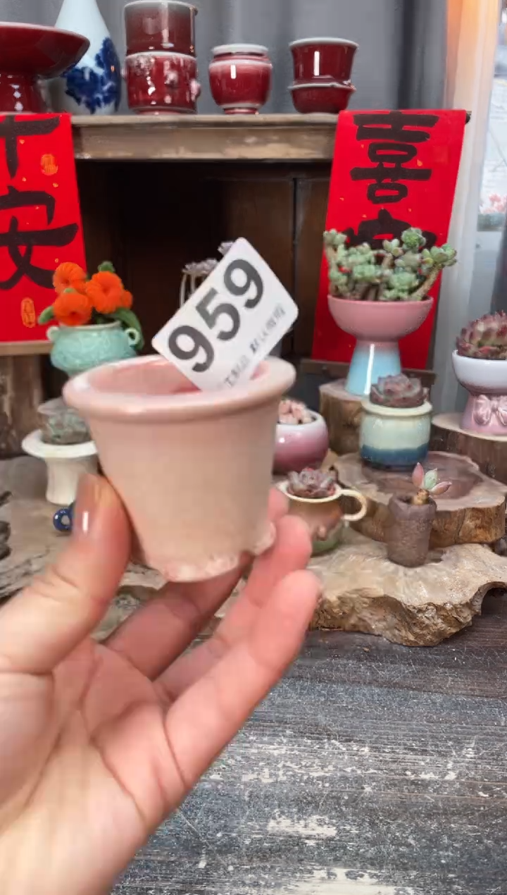 【闪购商品】摆件959知木小芳花盆