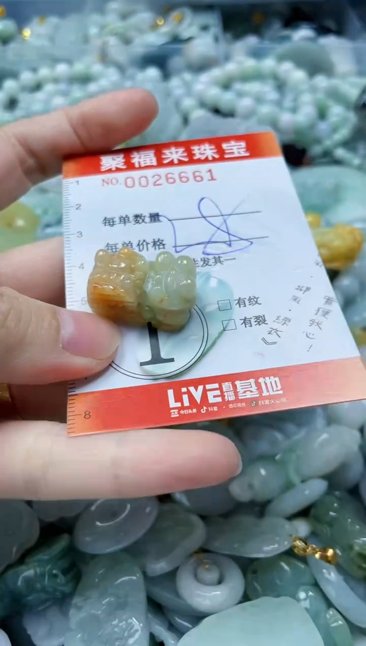 【闪购商品】翡翠颈饰未镶嵌闪购0026661