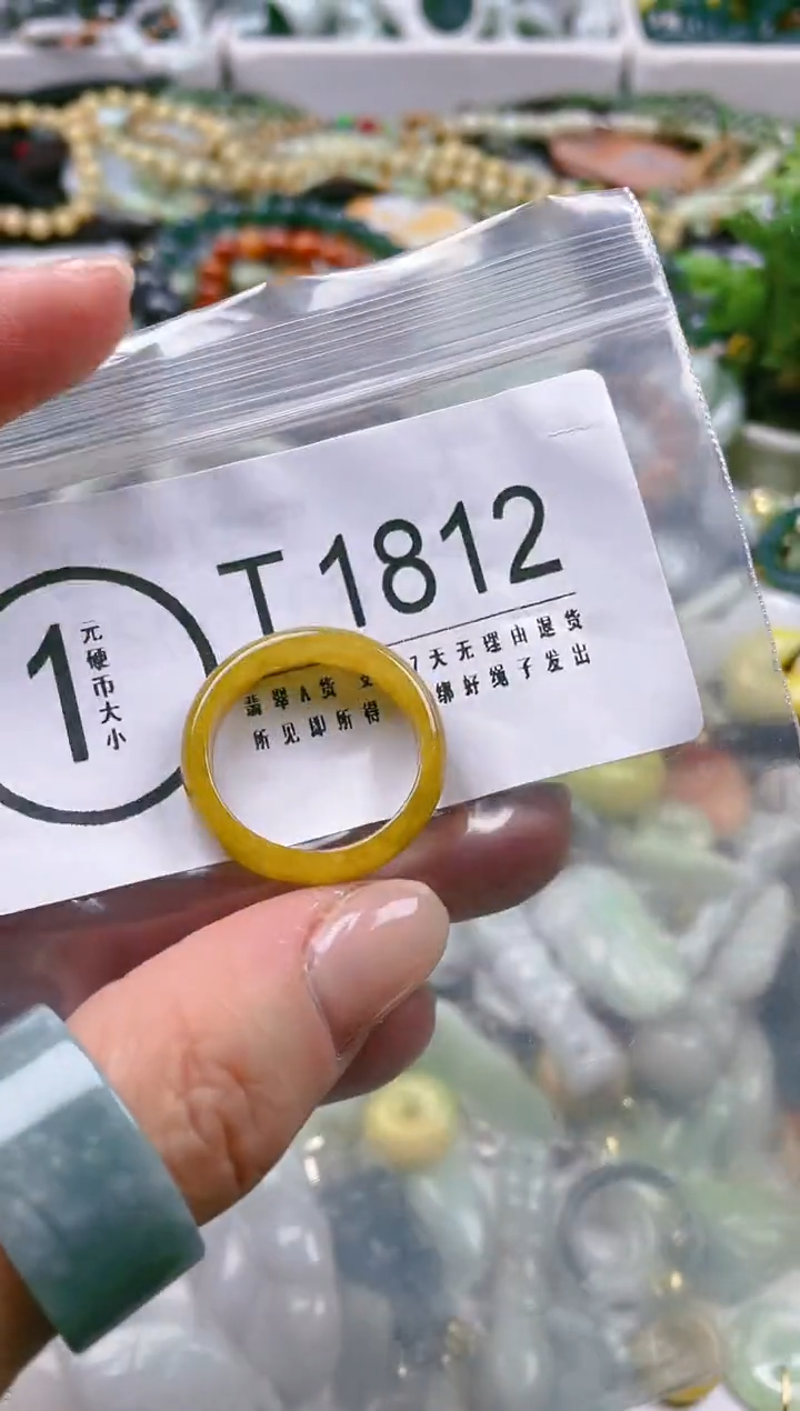 【闪购商品】翡翠颈饰未镶嵌20.3/T/翡翠A货一图一物