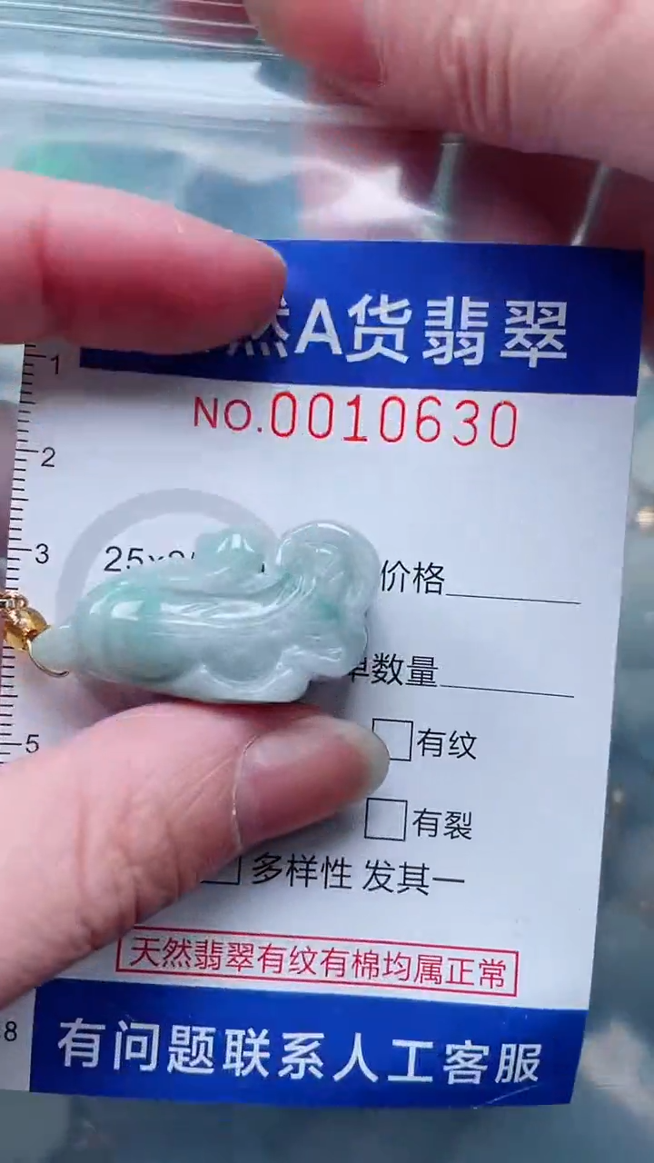 翡翠未镶嵌吊坠(不含链)1