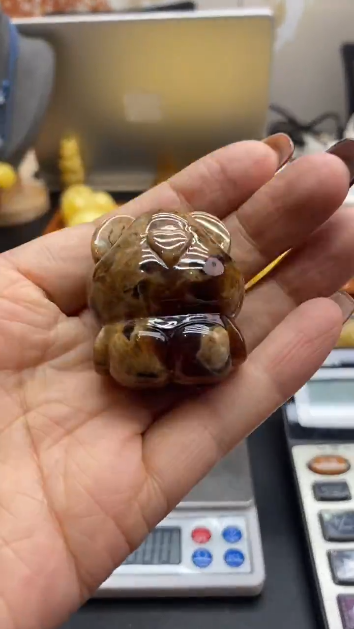 琥珀未镶嵌珠宝奇石2542