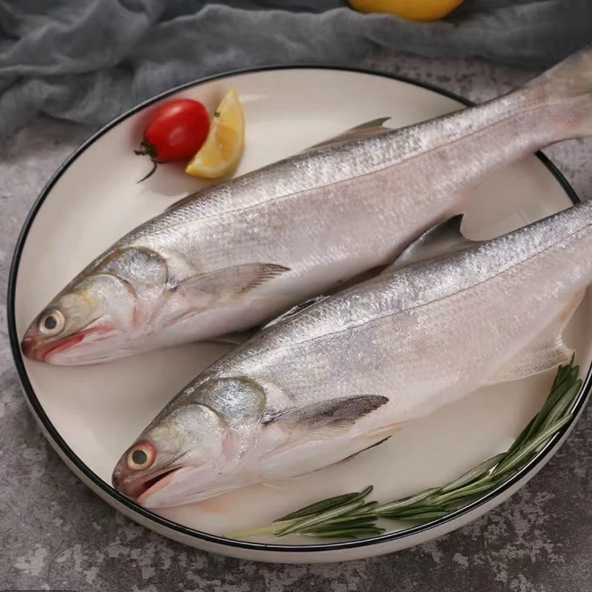 午鱼  鲜冻 次日达 顺丰快递 厦门发货 2000g