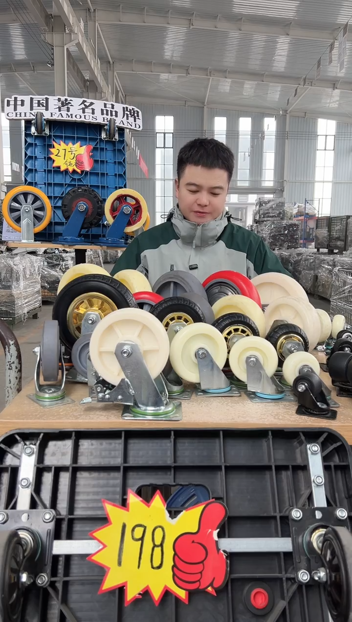 罗师傅  6寸tpr定刹*3  8寸定*2 刹车*3 