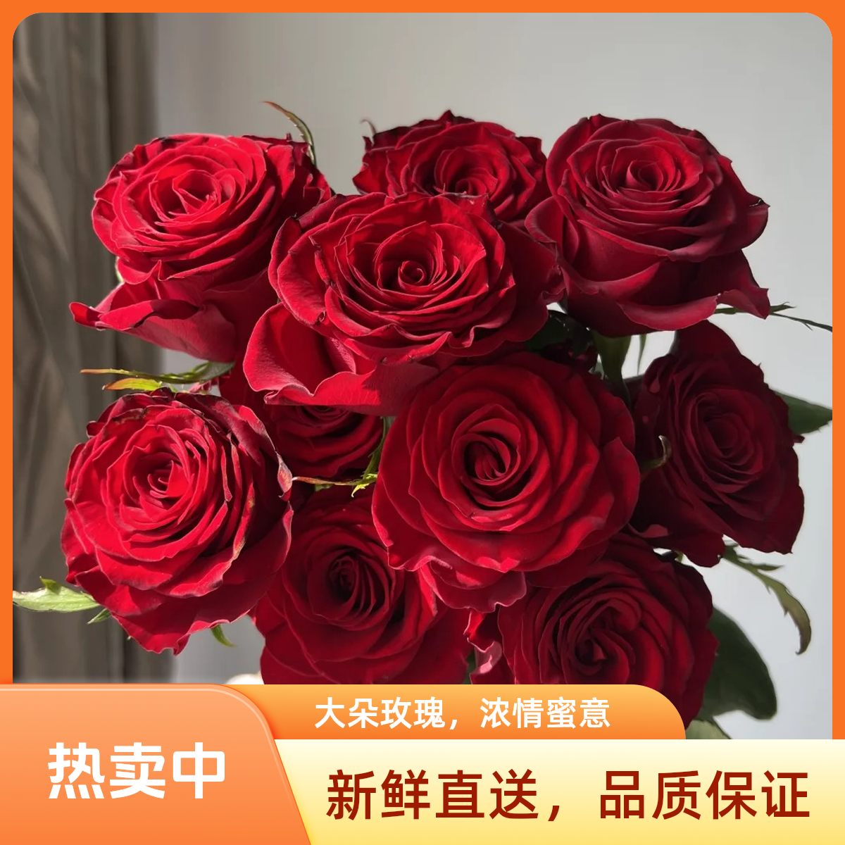 【10支高原红玫瑰】家居生活鲜花川渝地区次日达昆明基地鲜花批发包邮