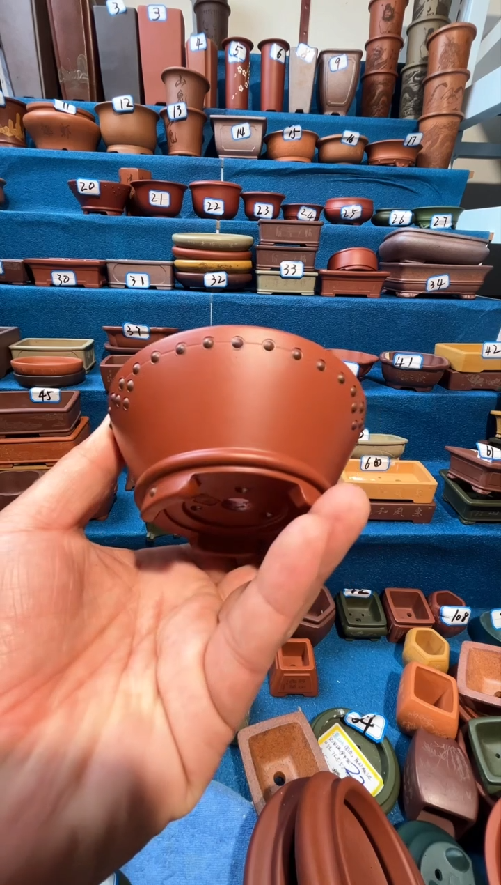 【闪购商品】紫砂紫砂花盆10*4