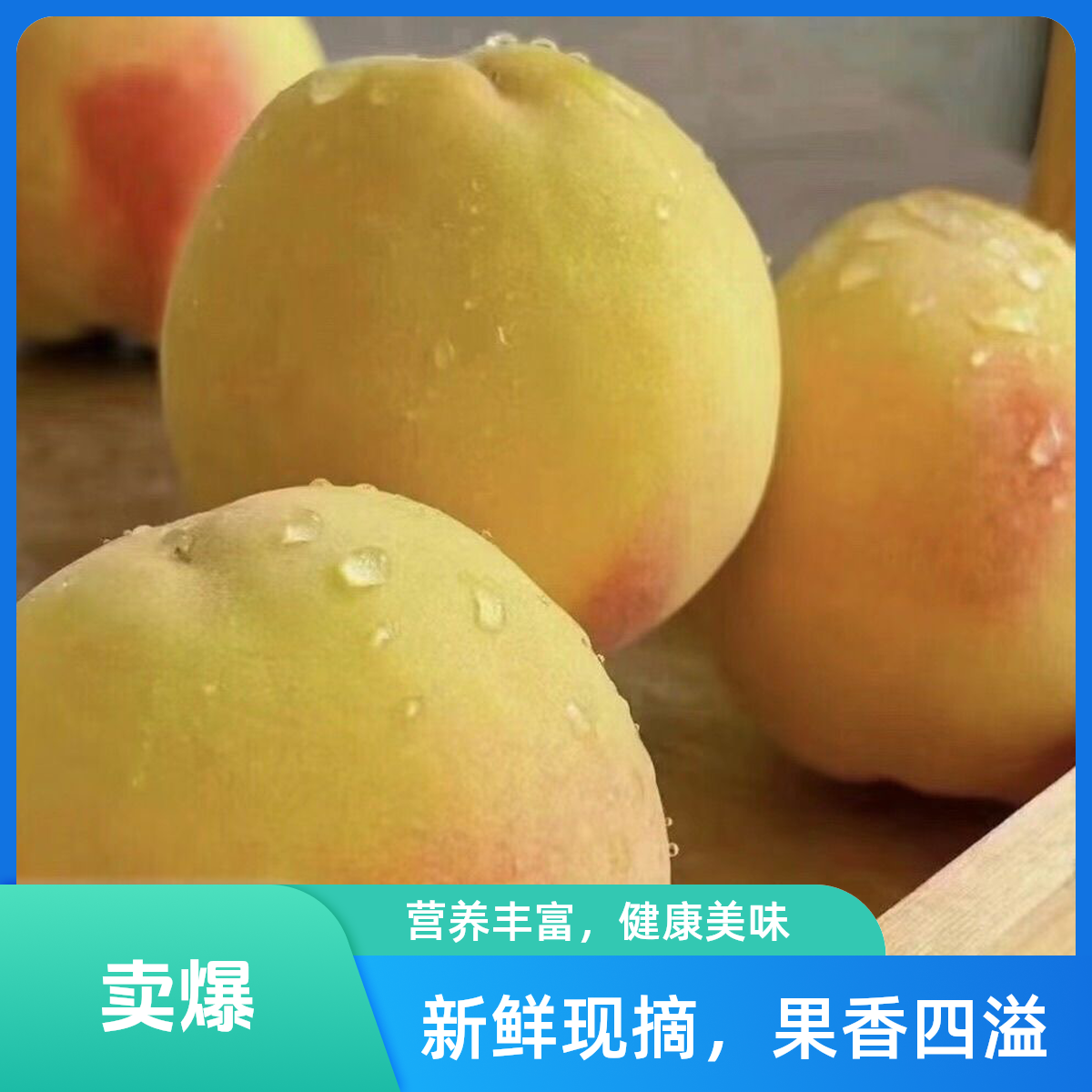 山东黄毛桃黄金蜜黄桃子大果当季现摘现发包邮