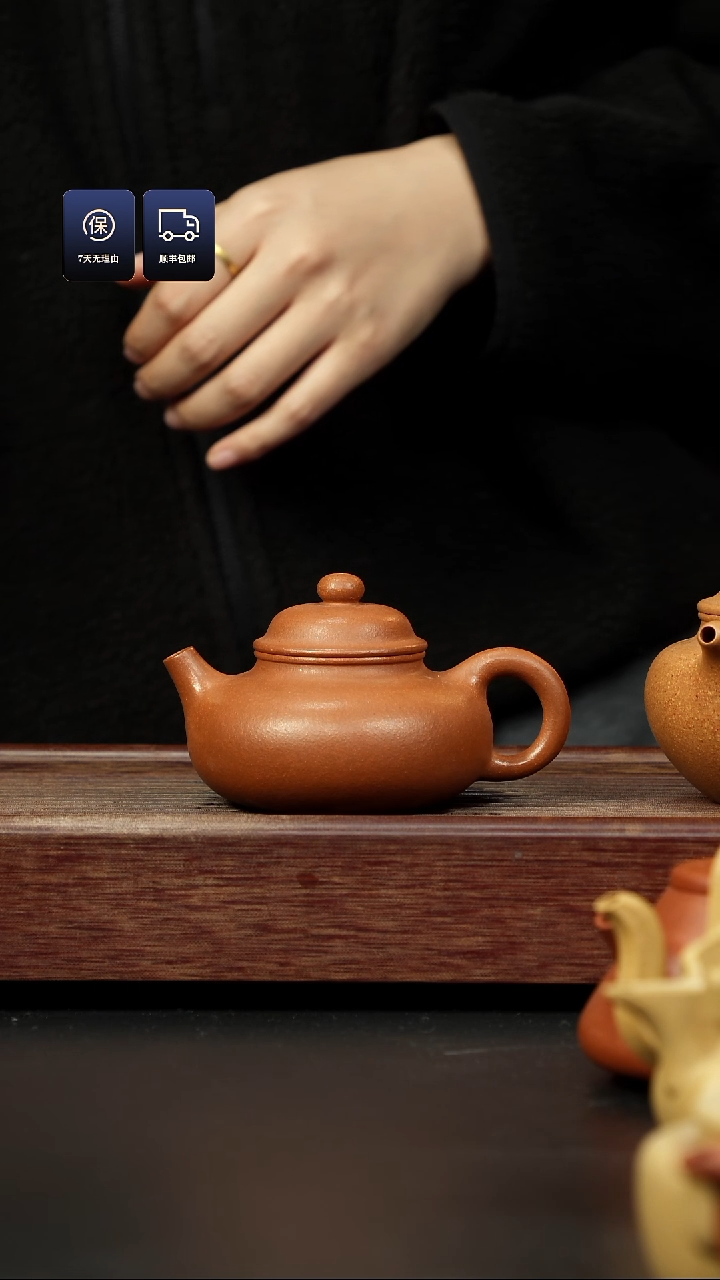 【闪购商品】紫砂茶壶老降坡 容天