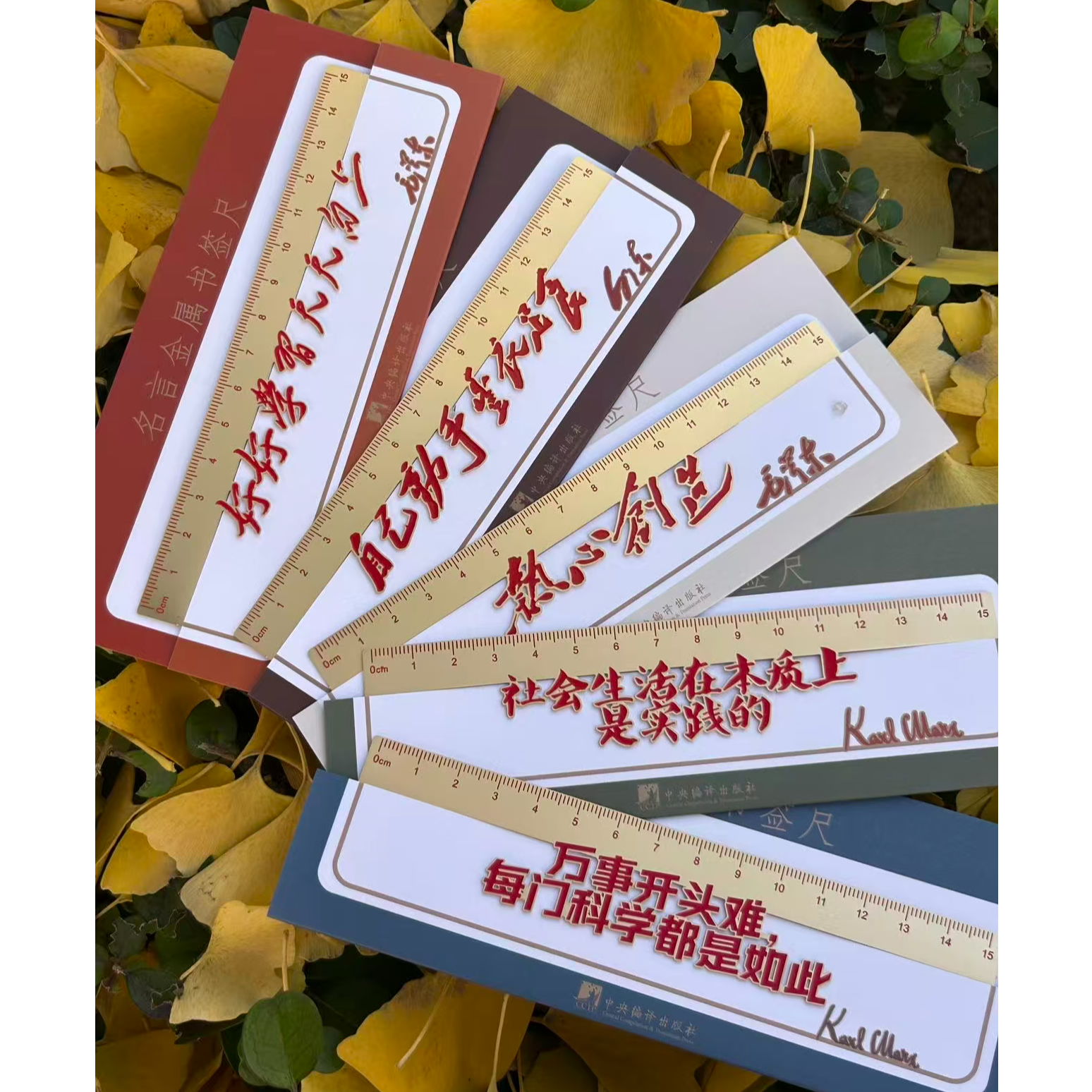 『编译·文创』毛泽东名言金属书签尺（5款多规格可选）两用书签尺子