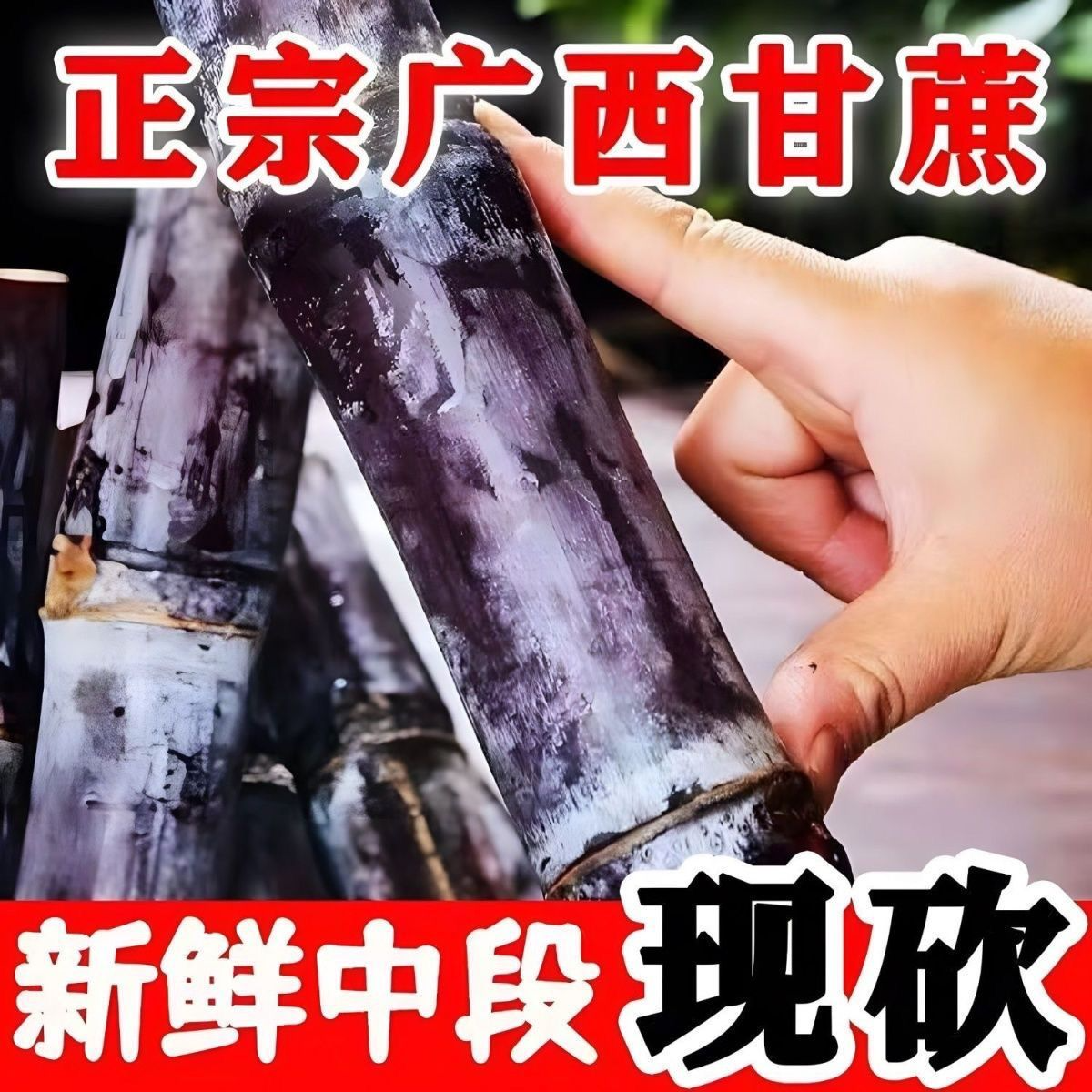 U广西正宗黑皮果蔗新鲜现砍清甜多汁应季水果