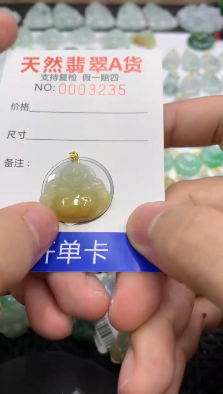 【闪购商品】翡翠颈饰18K金镶嵌11111111111