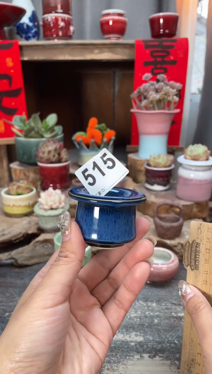 【闪购商品】摆件515知木小芳花盆