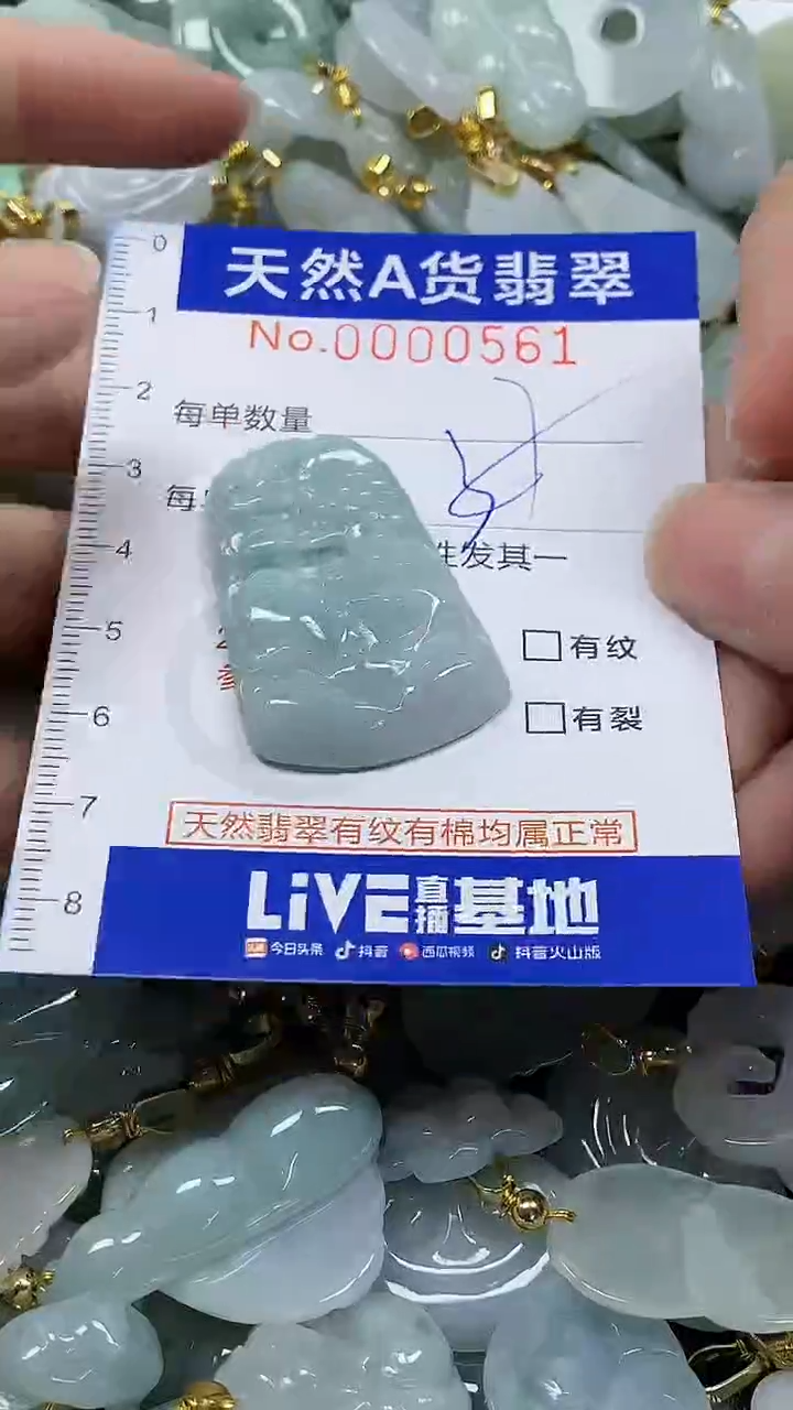 颈饰未镶嵌翡翠纯天然a货翡翠