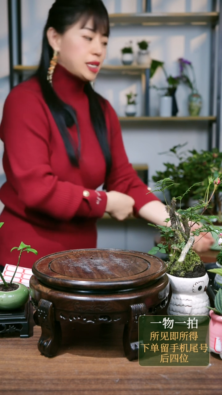 【闪购商品】48--6364瑞香福绿