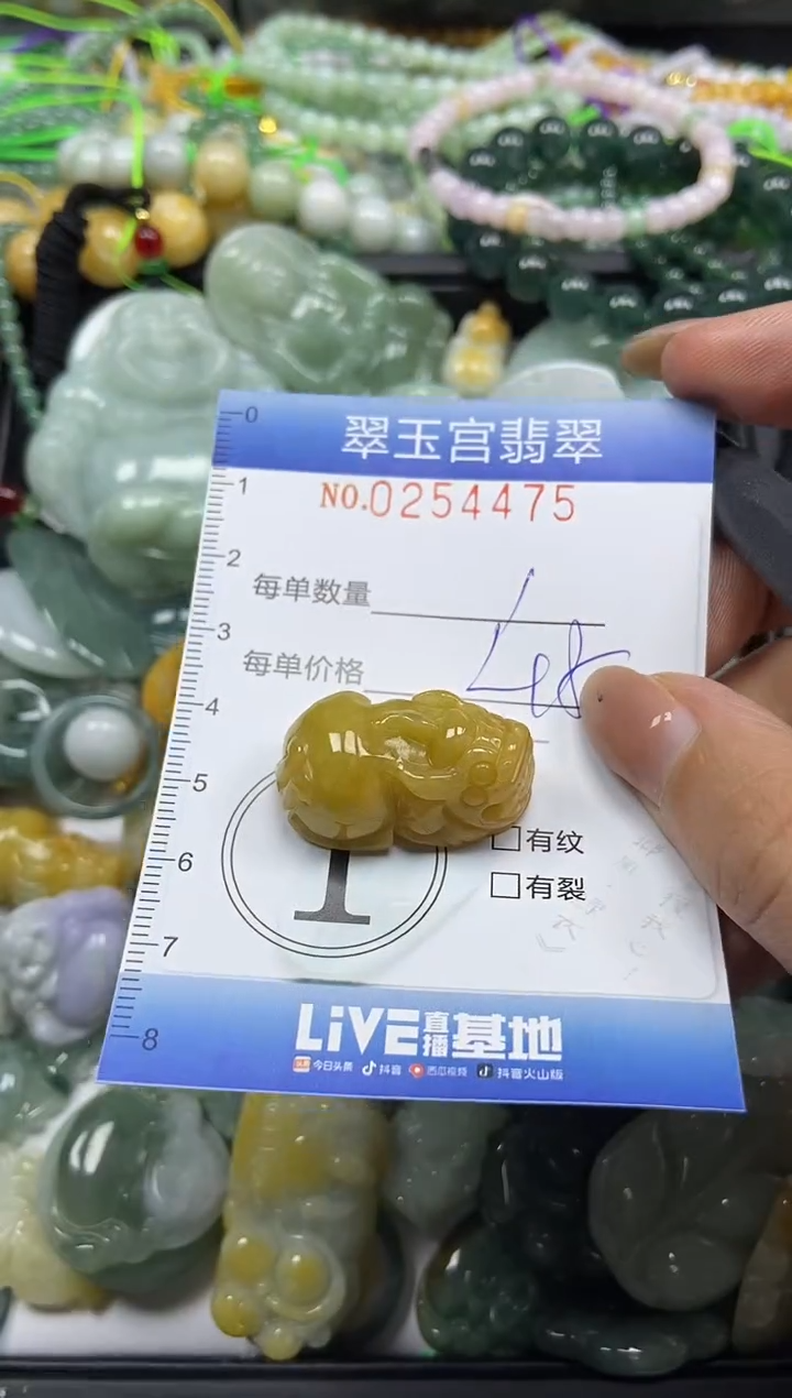 颈饰未镶嵌翡翠闪购C0254475