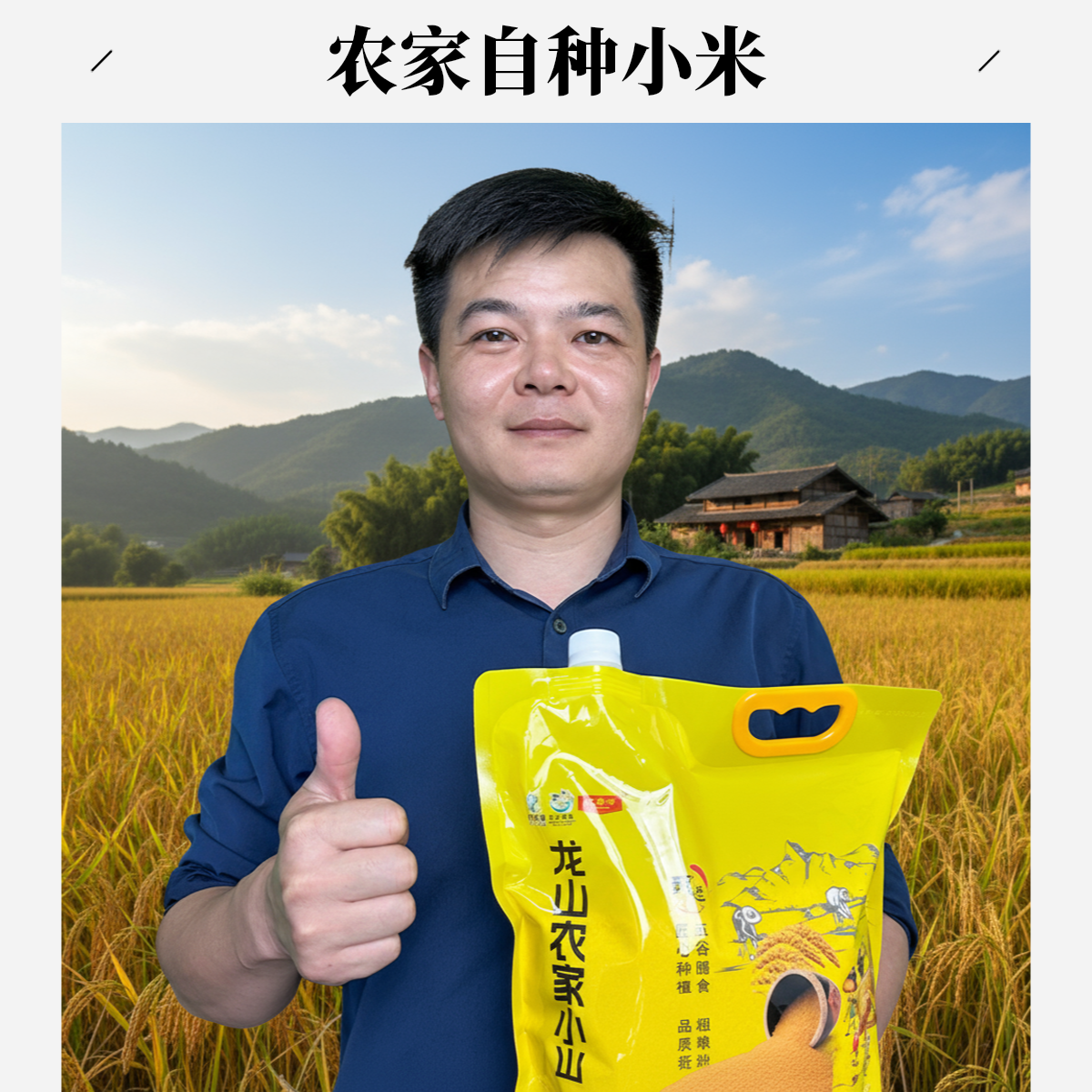 【龙山小米】当季新农家黄小米优质新米5斤装五谷杂粮农家米黄米