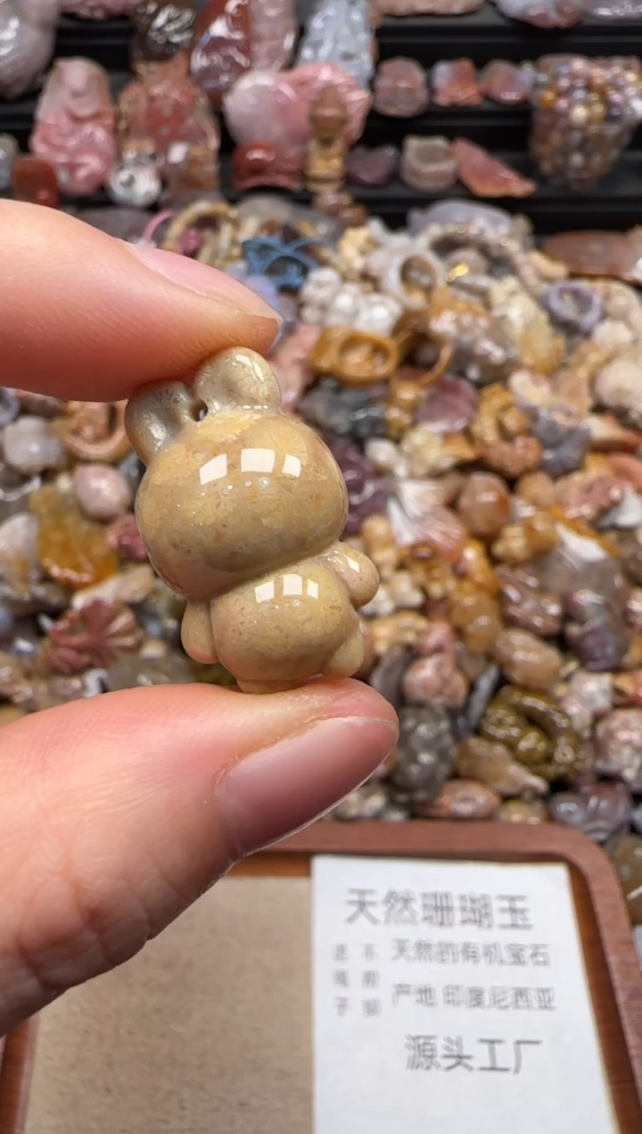 【闪购商品】硅化珊瑚（珊瑚玉）颈饰未镶嵌652