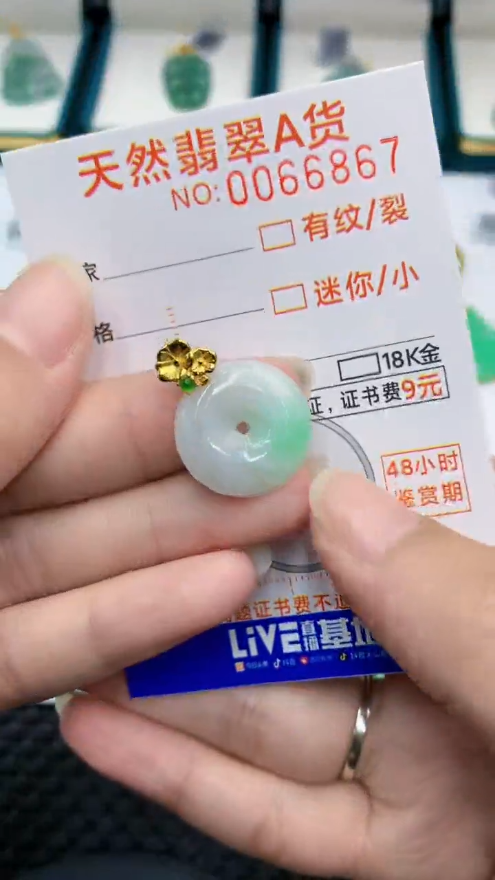 【闪购商品】翡翠颈饰银S925镶嵌            8