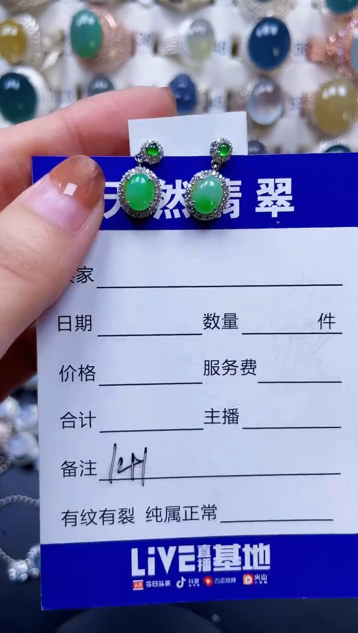 银S925镶嵌翡翠耳饰141